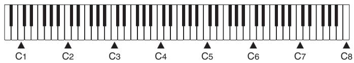 CASIO AP-38 - NOTE - 2
