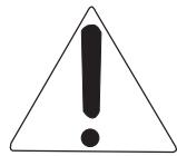 CASIO AP-38 - RISK OF ELECTRIC SHOCK DO NOT OPEN - 3