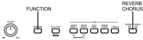 CASIO CDP-100 - NOTE - 1