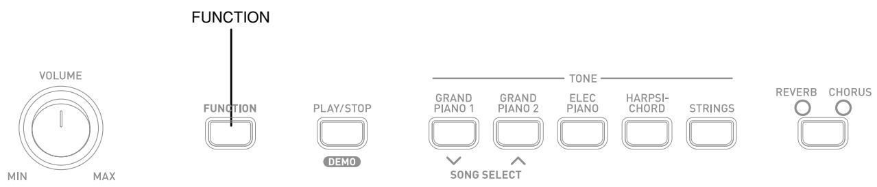 CASIO CDP-100 - NOTE - 1