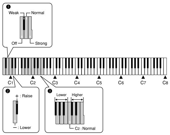 CASIO CDP-100 - Changing the Piano Key - 2