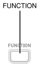 CASIO CDP-100 - Selecting an Effect - 3