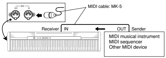 CASIO CDP-100 - MIDI Connections - 2