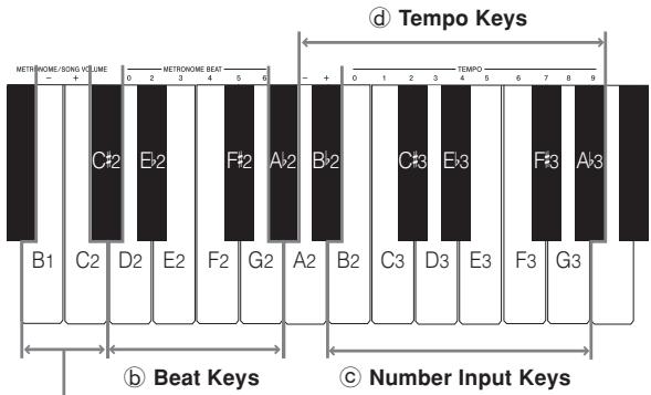 CASIO CELVIANO AP-24 - Using the Metronome - 1