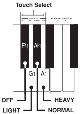 CASIO CELVIANO AP-24 - Using the Touch Select - 1