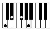 CASIO CELVIANO AP-80R - IMPORTANT! - 15