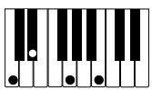CASIO CELVIANO AP-80R - IMPORTANT! - 14