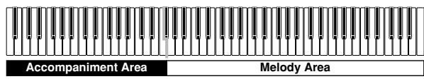 CASIO CELVIANO AP-80R - CASIO CHORD Mode Keyboard - 1