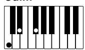 CASIO CELVIANO AP-80R - IMPORTANT! - 3