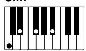 CASIO CELVIANO AP-80R - IMPORTANT! - 9