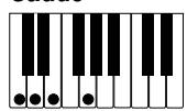 CASIO CELVIANO AP-80R - IMPORTANT! - 12