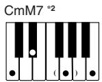 CASIO CTK-451 - NOTE - 14