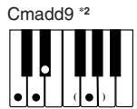CASIO CTK-451 - NOTE - 13
