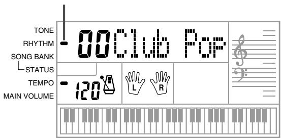 CASIO CTK-451 - To select a rhythm - 1