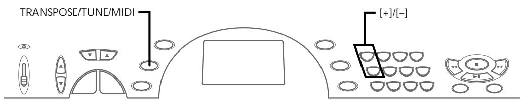 CASIO CTK-451 - NOTES - 1