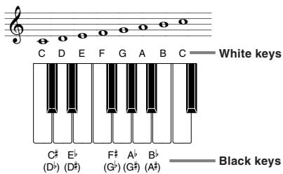 CASIO CTK-451 - Chord Names - 1