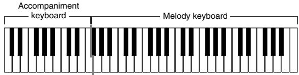 CASIO CTK-451 - FINGERED Accompaniment Keyboard and Melody Keyboard - 1