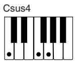 CASIO CTK-451 - NOTE - 5