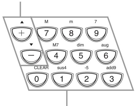 CASIO CTK-451 - [+]/[-] buttons - 1