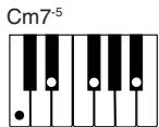 CASIO CTK-451 - NOTE - 9