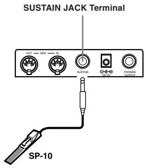 CASIO CTK-451 - Sustain jack Terminal - 1