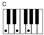 CASIO CTK-471 - NOTE - 1
