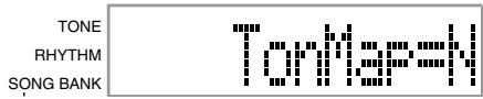 CASIO CTK-471 - Parameters and Their Displays - 2