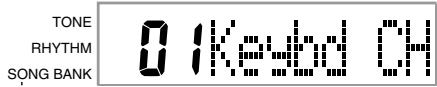 CASIO CTK-471 - Parameters and Their Displays - 1