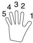 CASIO CTK-471 - Cuadros de acordes Fingered - 1