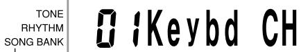 CASIO CTK-491 - Parameters and Their Displays - 1