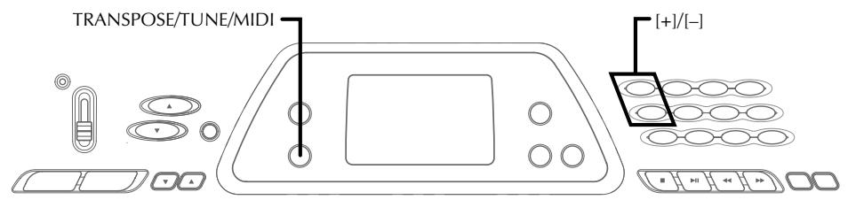 CASIO CTK-491 - To transpose the keyboard - 5