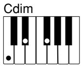 CASIO CTK-491 - NOTE - 3