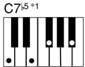 CASIO CTK-491 - NOTE - 10