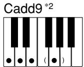 CASIO CTK-491 - NOTE - 12