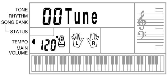 CASIO CTK-491 - To tune the keyboard - 1