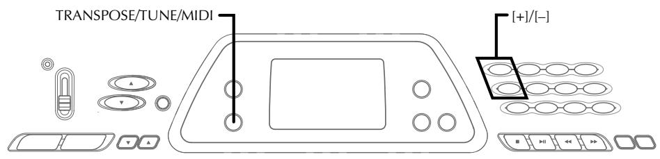 CASIO CTK-491 - Keyboard Settings - 1