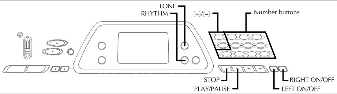 CASIO CTK-491 - NOTE - 1