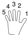 CASIO CTK-491 - Cuadros de acordes Fingered - 1