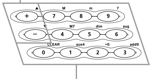 CASIO CTK-491 - [+]/[-] buttons - 1