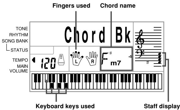 CASIO CTK-491 - Press the CLEAR button. - 3