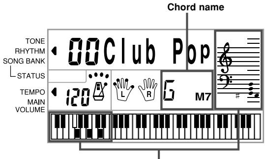 CASIO CTK-491 - To use Auto Accompaniment - 1
