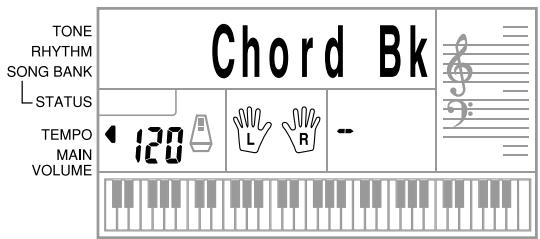 CASIO CTK-491 - Looking Up a Chord Using the Chord Book - 1