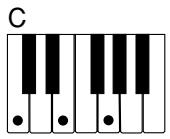 CASIO CTK-491 - NOTE - 1