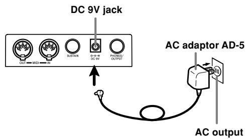 CASIO CTK-491 - Using the AC Adaptor - 1