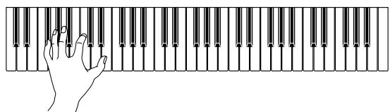 CASIO CTK-491 - Press the CLEAR button. - 4