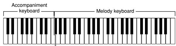 CASIO CTK-491 - FINGERED - 1