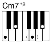 CASIO CTK-491 - NOTE - 7
