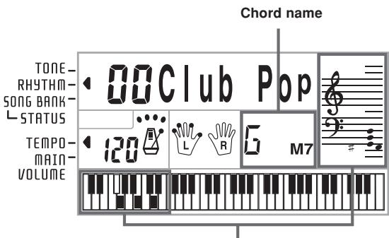 CASIO CTK-496 - Play a chord. - 1