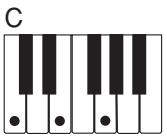 CASIO CTK-496 - NOTE - 1