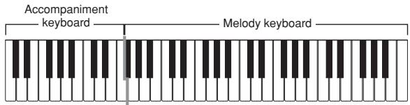 CASIO CTK-496 - CASIO CHORD Accompaniment Keyboard and Melody Keyboard - 1